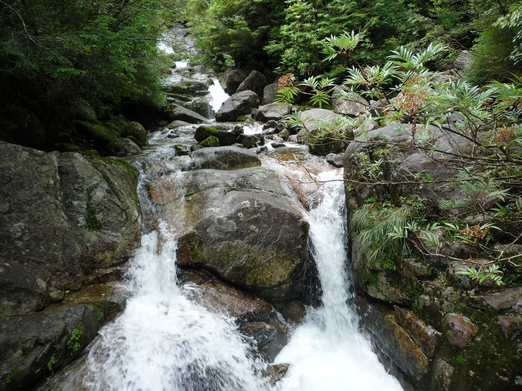 where it rains 35 days per month: a trip to enjoy yakushima’s "water" | touring the "waterfalls" which heal with their ions