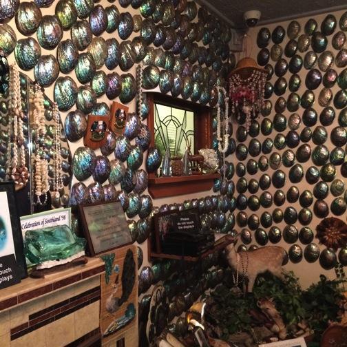 Paua wall of the most Kiwiana house in New Zealand!