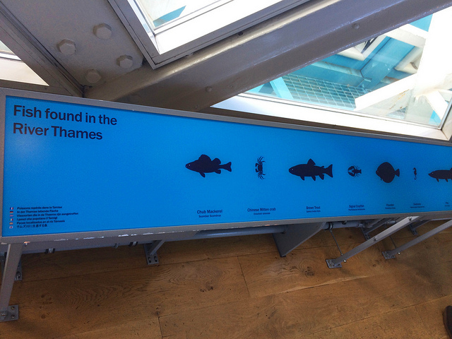 get a unique view of london from up in the iconic tower bridge | attractive and informative displays will enhance your visit