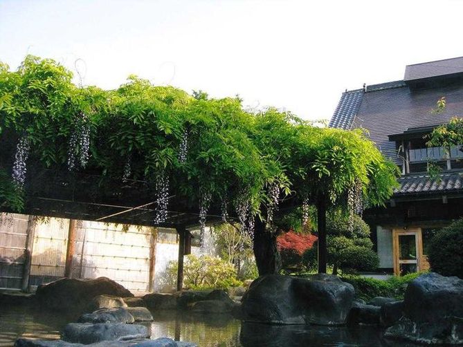 onsens in minakami sarugakyo onsen | hana no yu hot spring