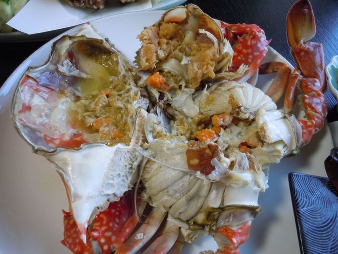 top quality crab dishes at umezakitei in tara, saga prefecture: home of the takezaki crab | the crab's condensed flavor!