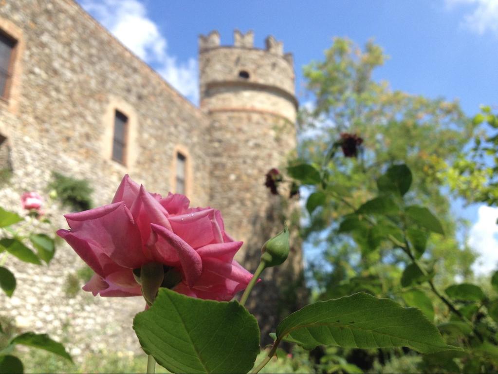 bed and breakfast in orvieto | explore the charming medieval castello della sala