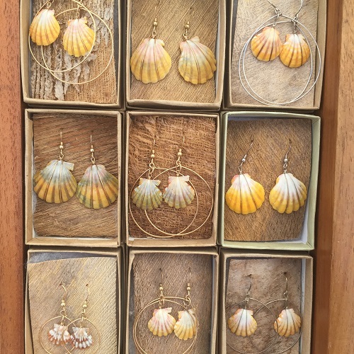 kick start a healthy weekend at kaka’ako saturday farmers’ market in honolulu | beautiful shell accessories from sunrise shells hawaii