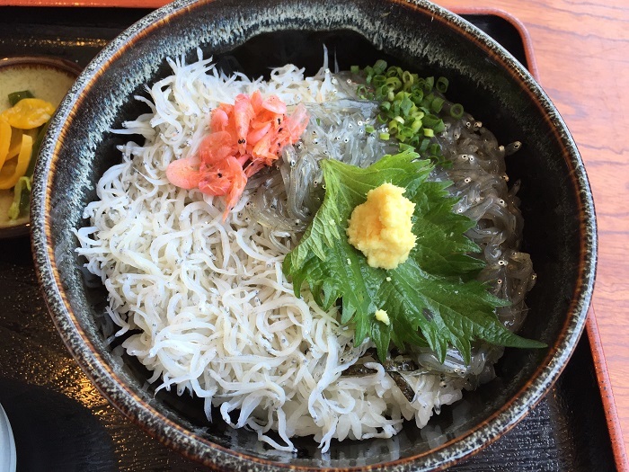 miami in japan? enjoy full day on enoshima island, japan! | shirasu don, try what enoshima has to offer.