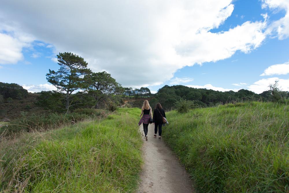 Easy walking path leads you through a lush green area on your way to Cathedral Cove.