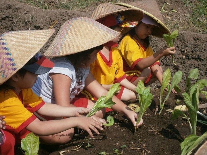 Learn to farm at Kampoeng Kidz