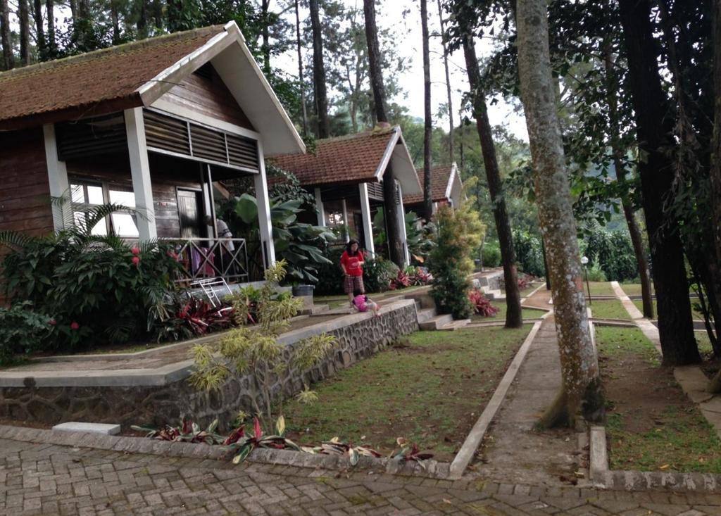 Bungalows at Foresta Resort