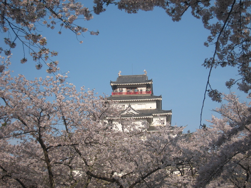 20130310122626