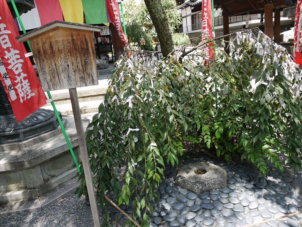 visible from inside a starbucks, visit the “belly-button” of kyoto at chohoji temple! | kyoto’s belly-button