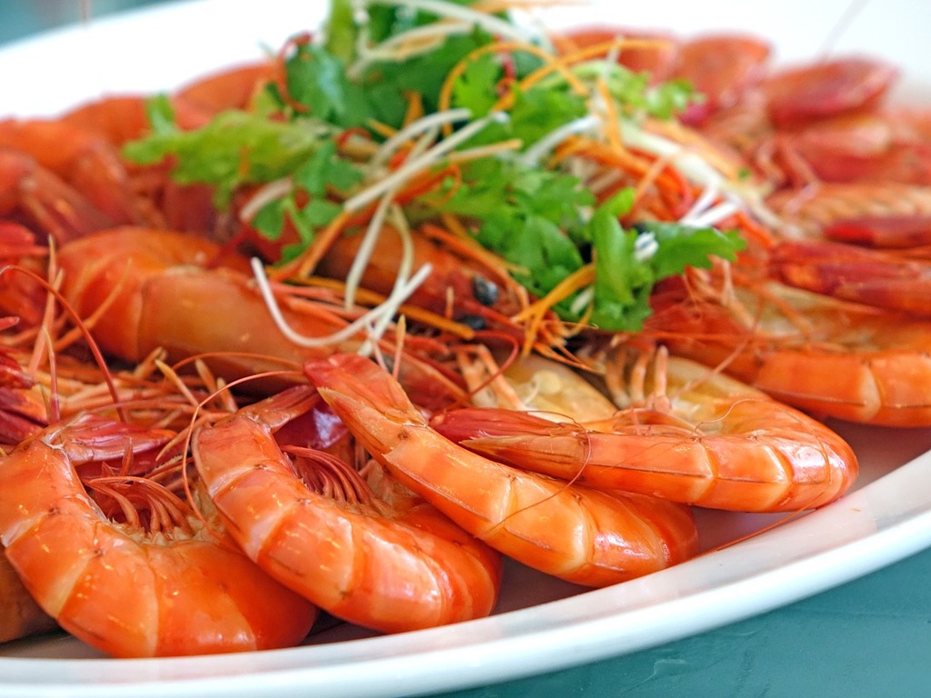 seafood restaurants in newport | relish your seafood holiday in newport, rhode island