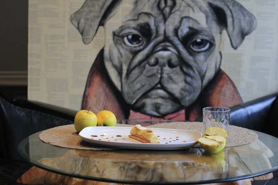 Dog-friendly restaurant