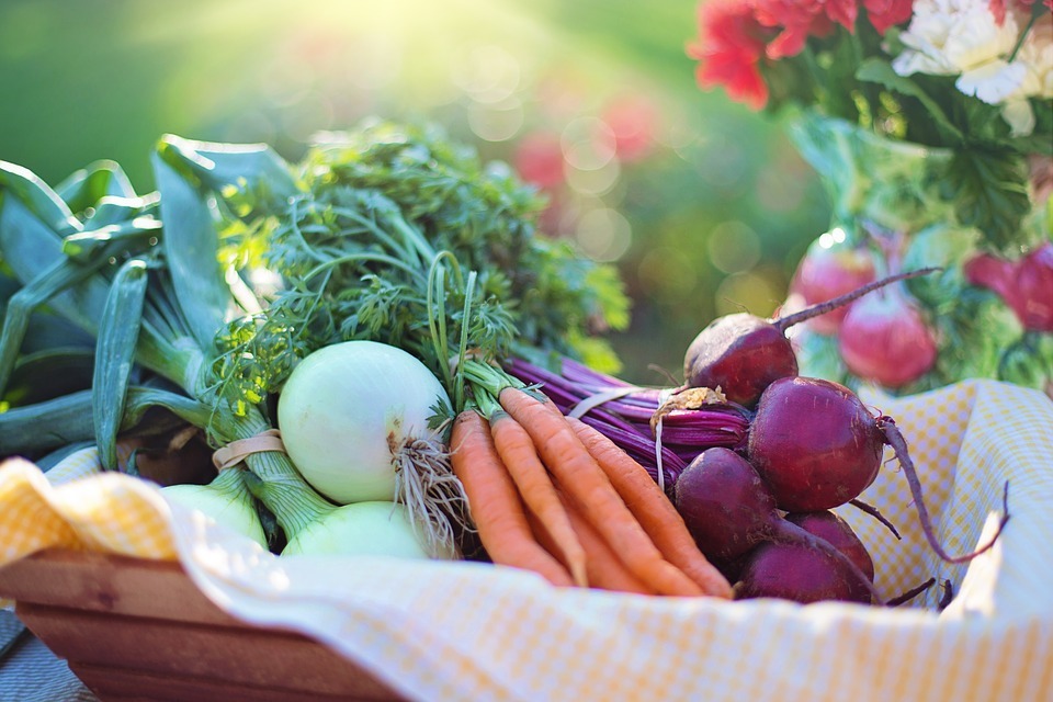 farm to table restaurants in charlotte nc | charlotte, the queen city of healthy dining