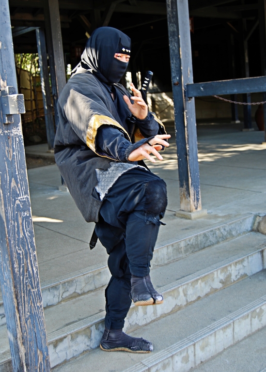 A ninja in Edo Wonderland