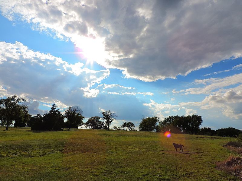Foss State Park