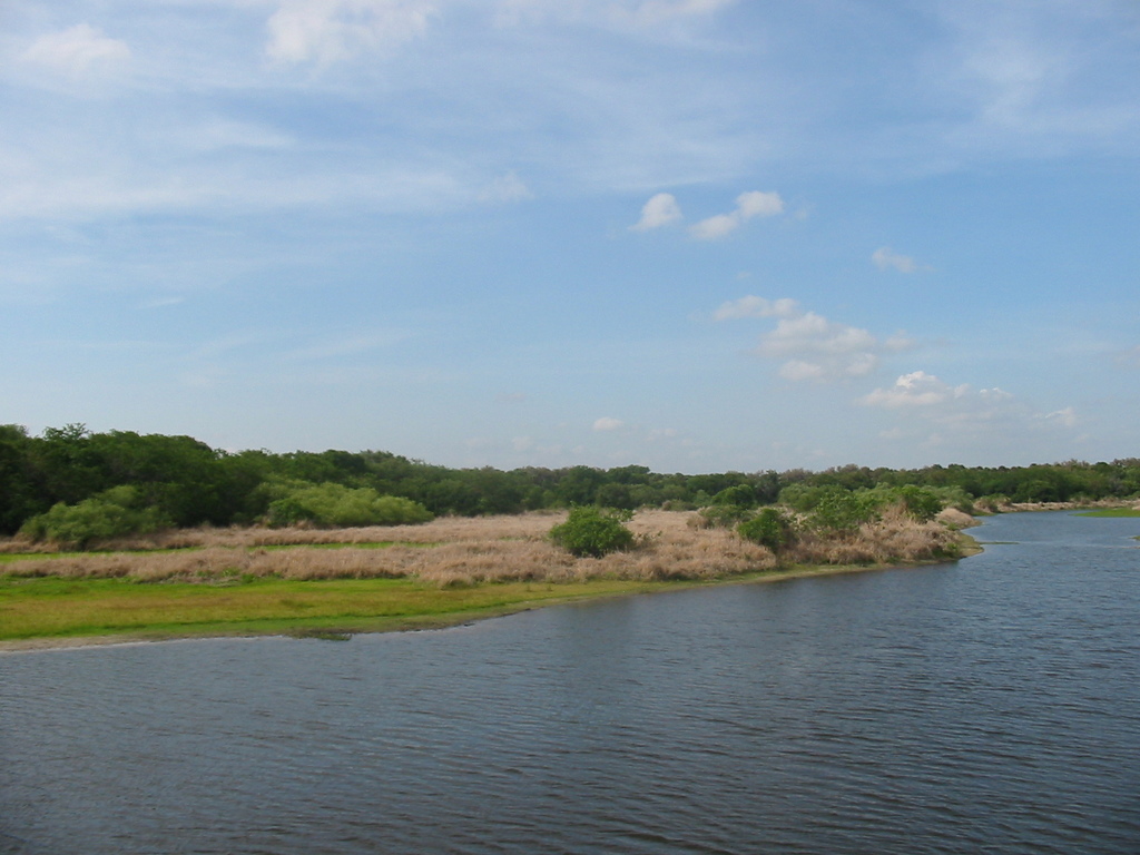The Myakka River inside Florida's Myakka State Park 2