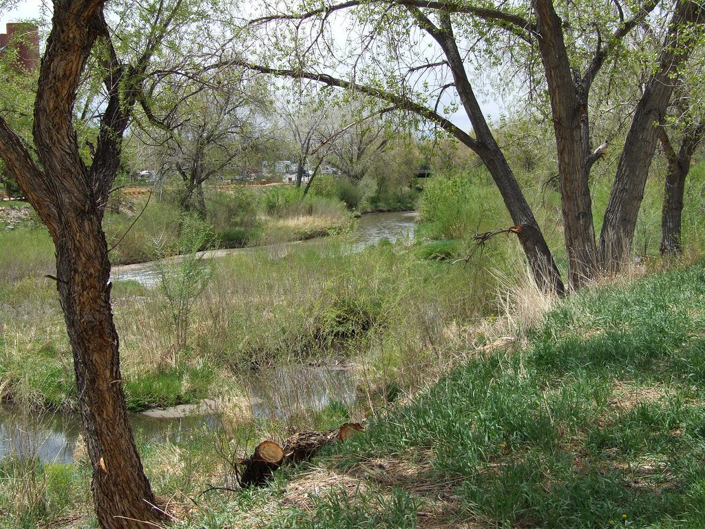 Cherry Creek, Denver