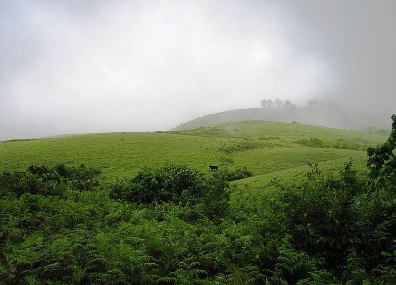 Vagamon meadows