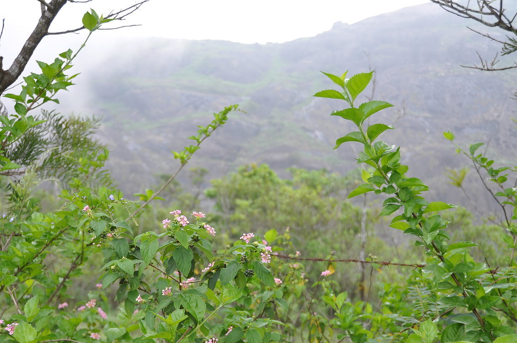 Beautiful mountain scenery at Vagamon