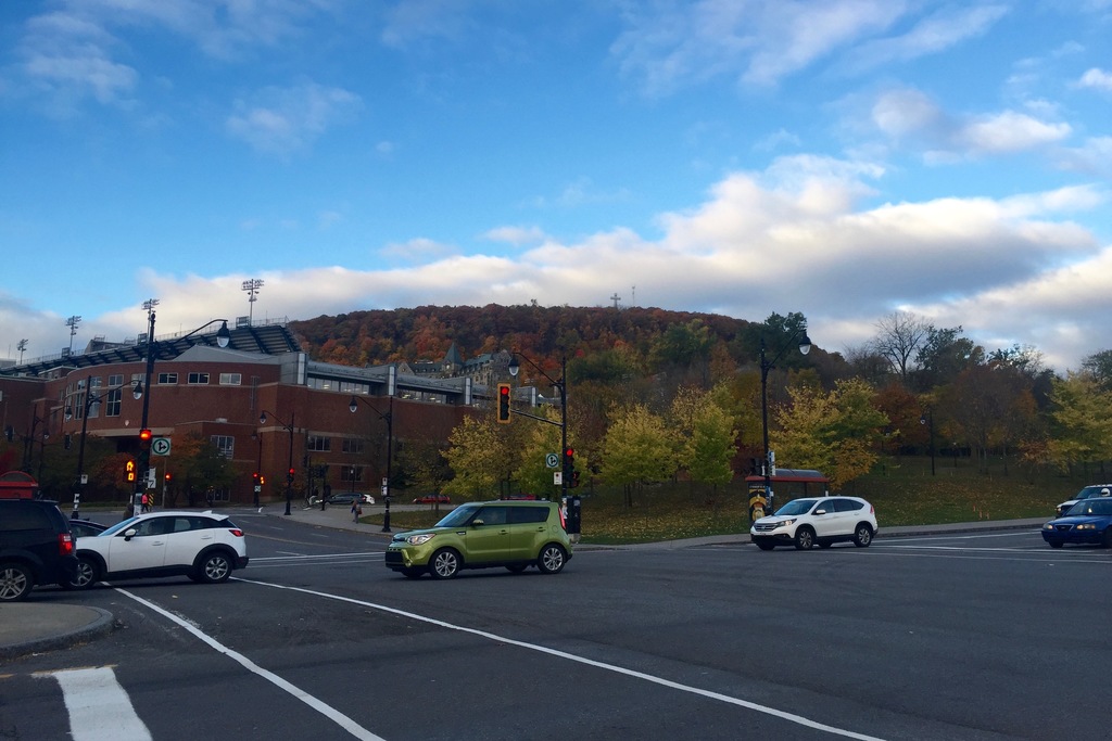 View of Mount Royal