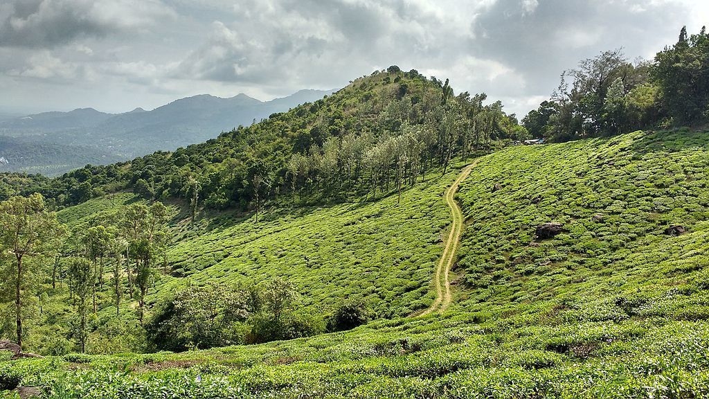 Wayanad, India