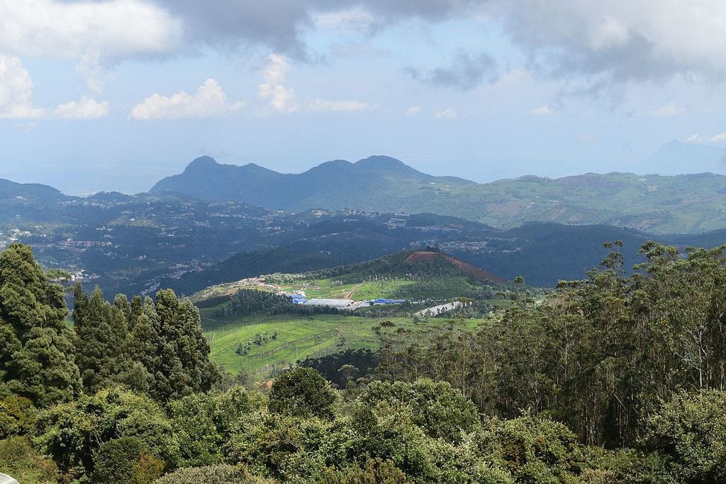 A Guide To Doddabetta Peak Ooty Trip101 A Guide To Doddabetta Peak Ooty Trip101