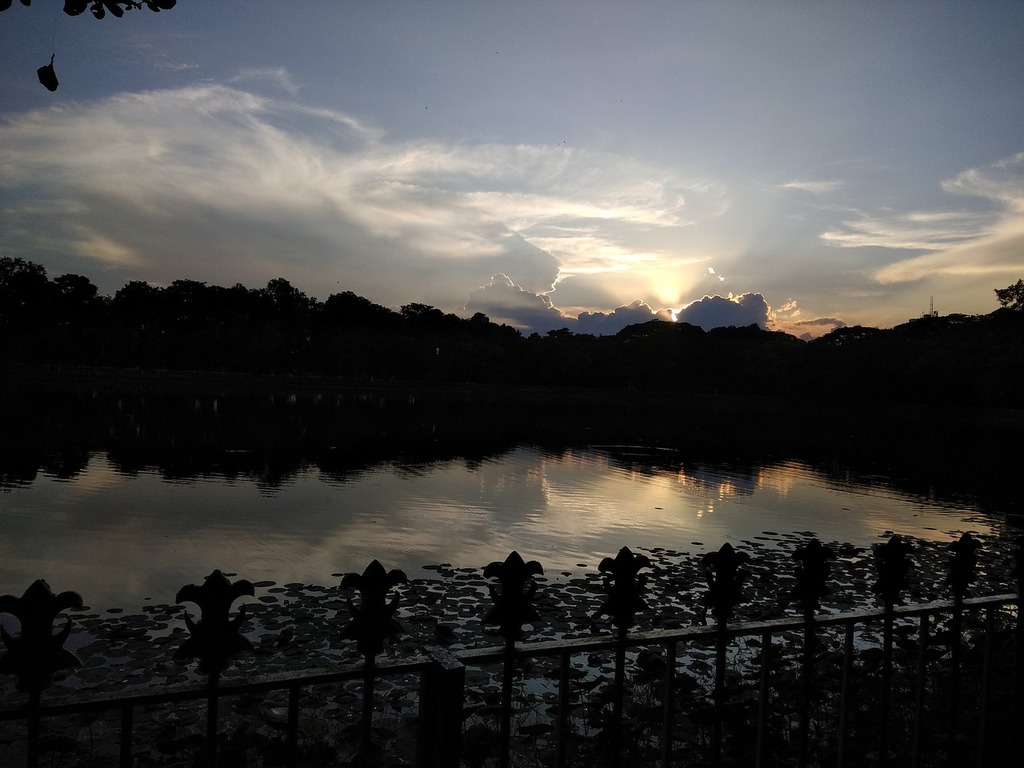 A guide to Rabindra Sarobar
