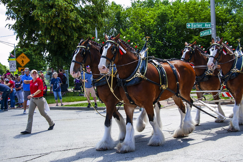 4th of July Parade Rolling Meadows Illinois 7-4-19 _1407