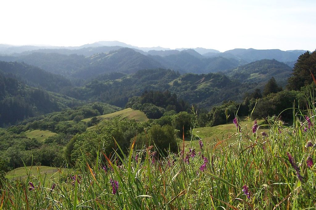 10 Best Things To Do In Guerneville, California Trip101