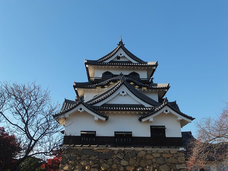 Ninja temple