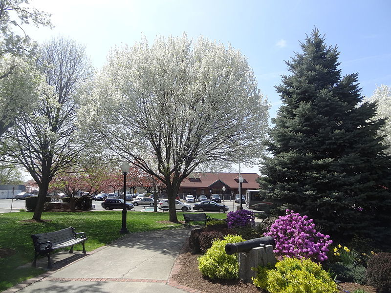 Odell Park in the Spring