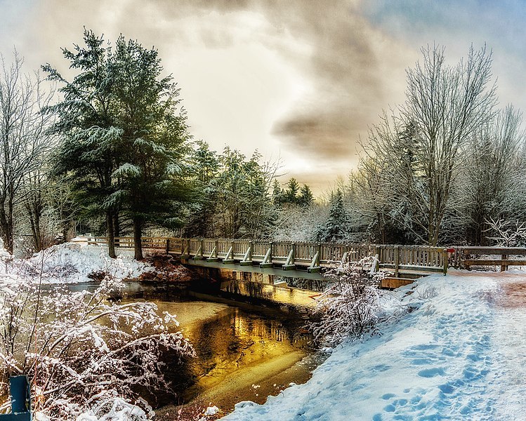 Irishtown Nature Park Christmas (27441277109)