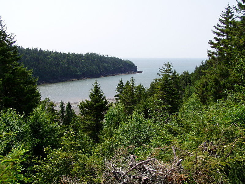 Fundy National Park of Canada 8