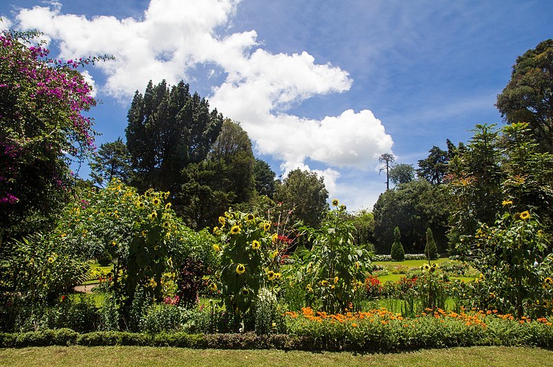 Victoria park, Nuwara Eliya - panoramio