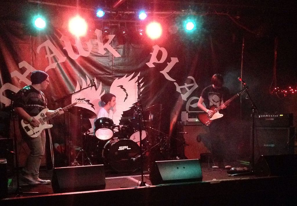 Pity Sweater Live in Buffalo New York