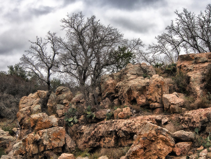 Inks Lake State Park #1