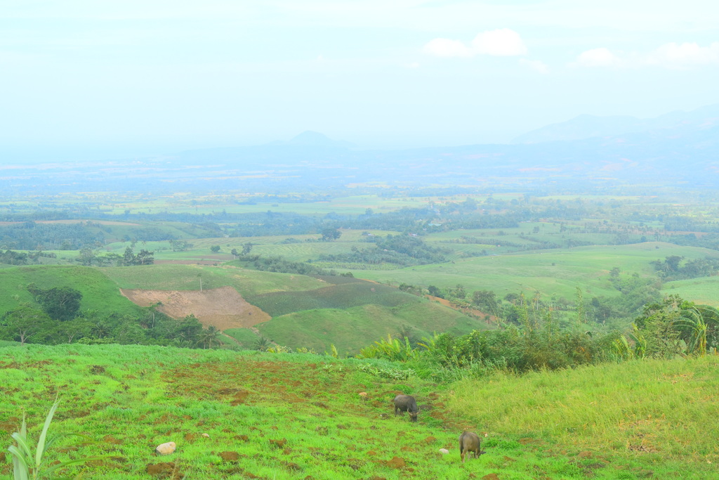 Mt. Isarog National Park, Camarines Sur