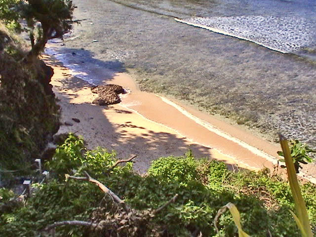 Peninsula de Punta Fuego