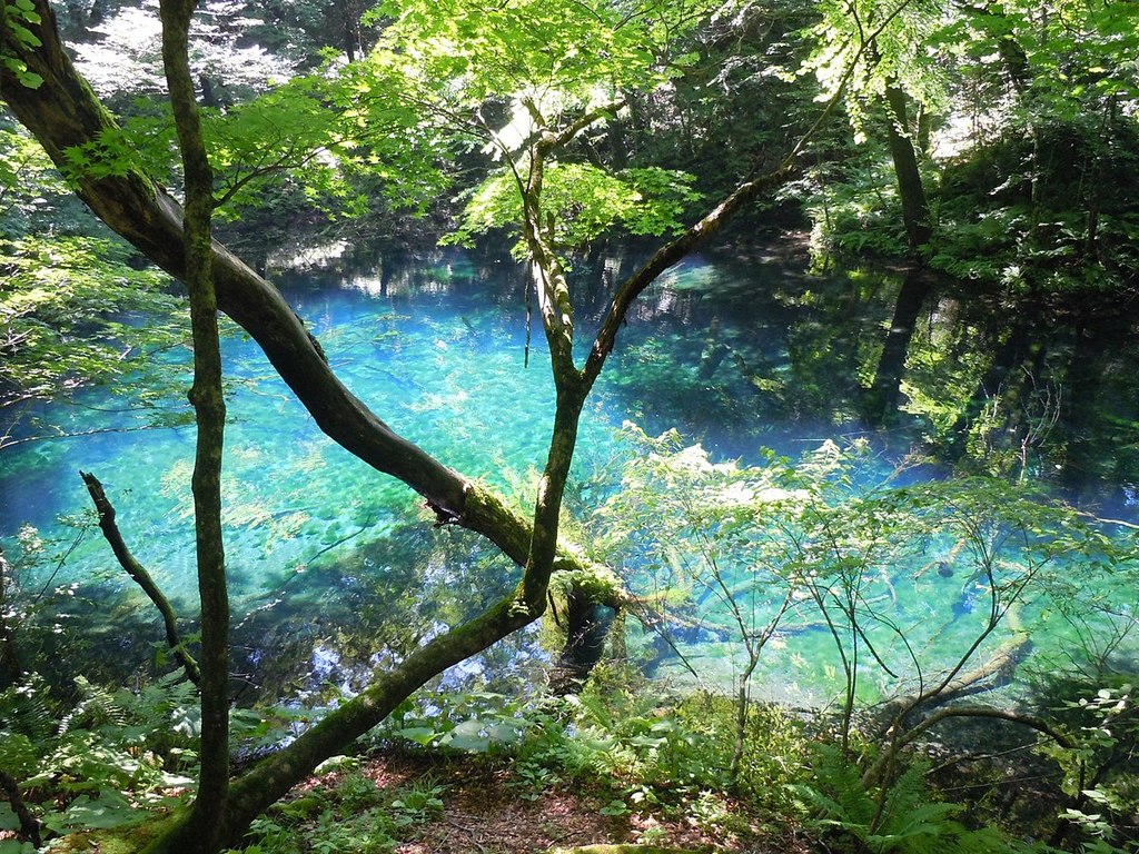 Juniko (十二湖) - panoramio
