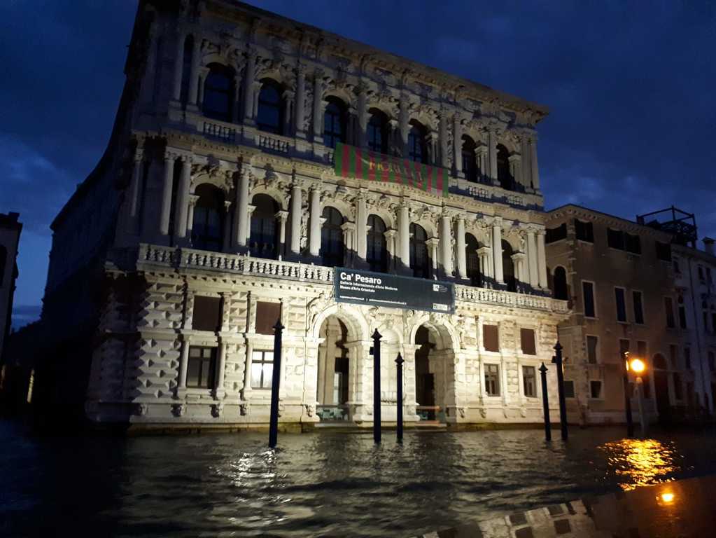 travelling in style in a water taxi in venice | a romantic city at night where you can feel like a star