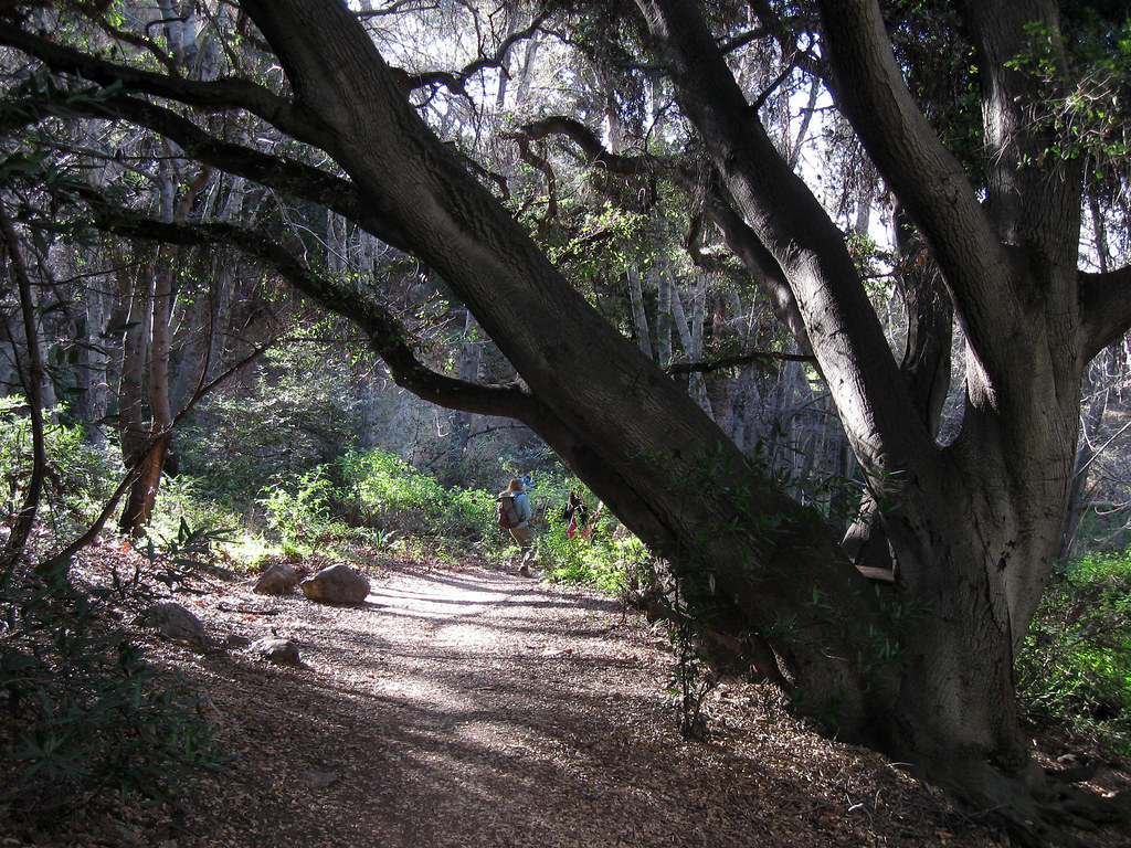 Monrovia Falls hike