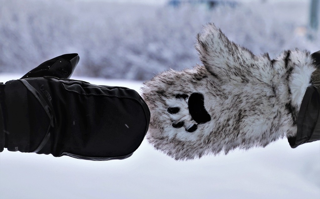 Gloves