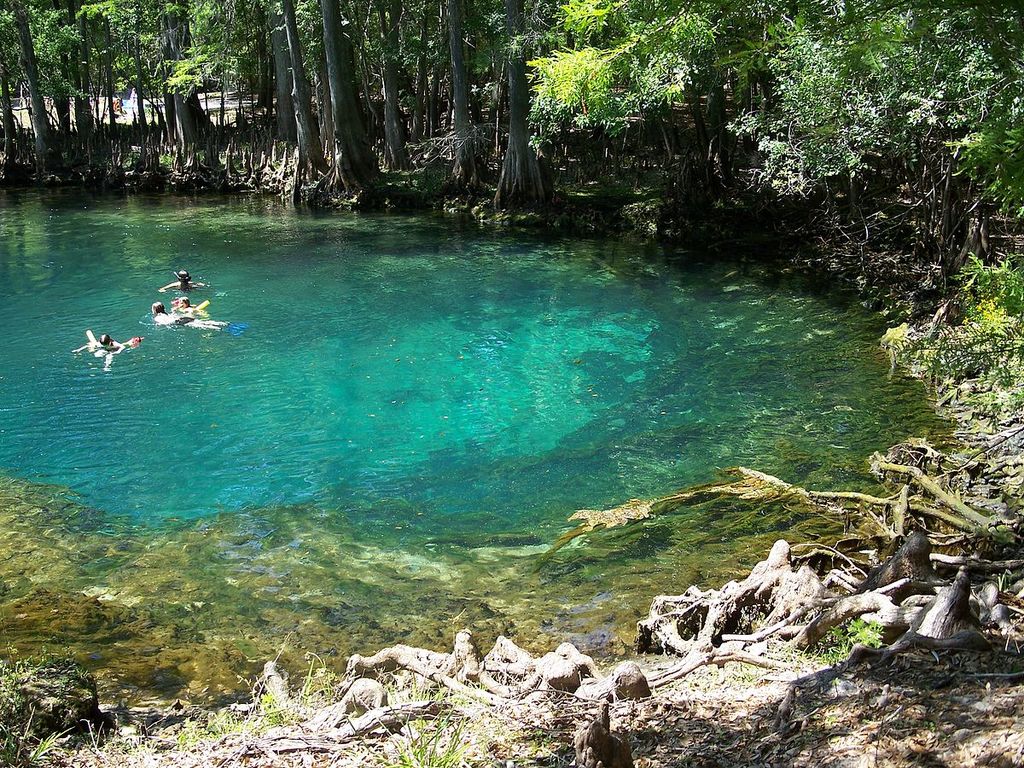 Manatee Springs State Park