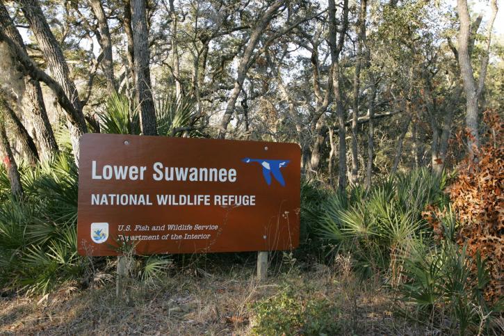 Lower Suwannee National Wildlife Refuge