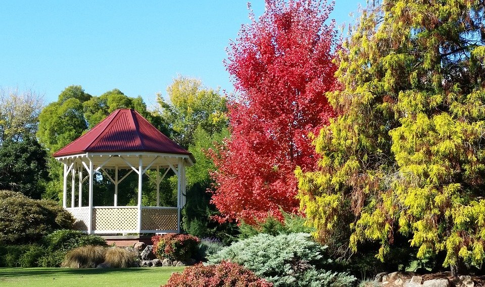 Park