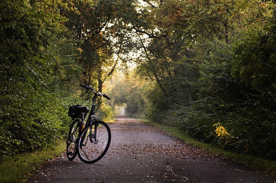 Bike trail