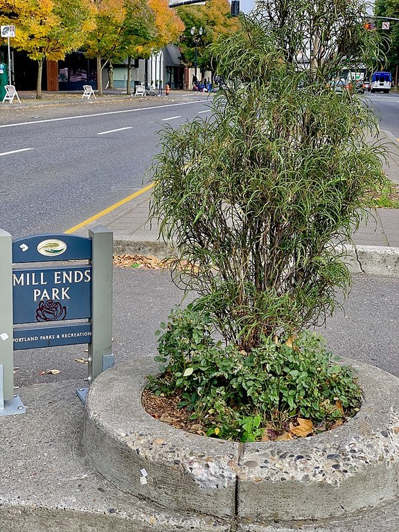 Mill Ends Park