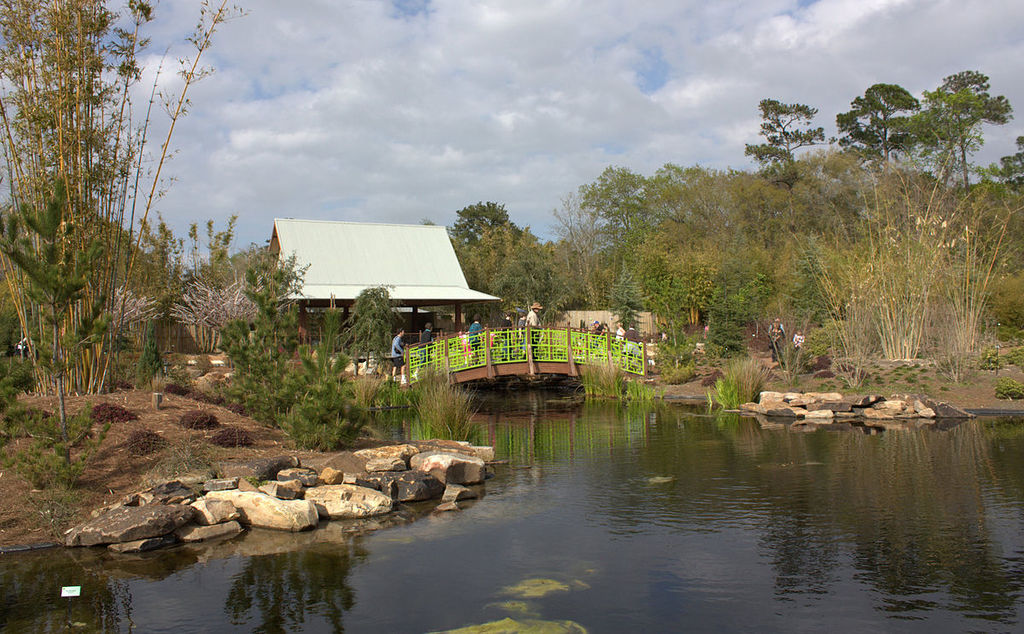 Top Road Trips From Austin, Texas