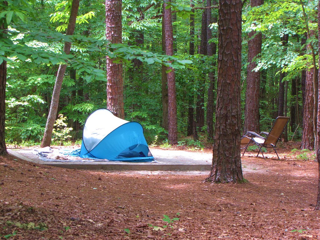 William B. Umstead State Park camping area