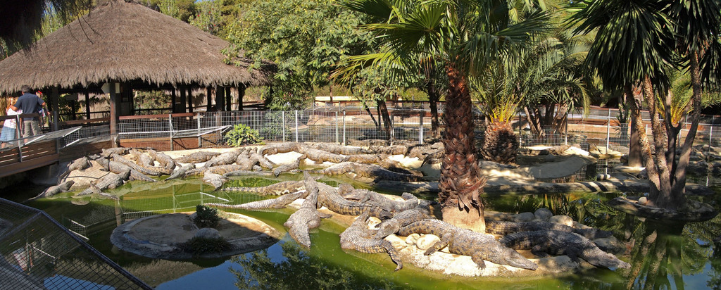 Torremolinos - Crocodile Park