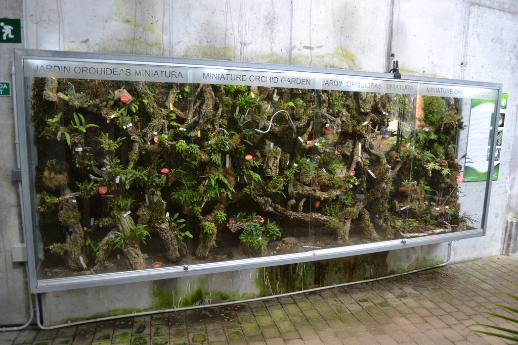Orchidarium de Estepona